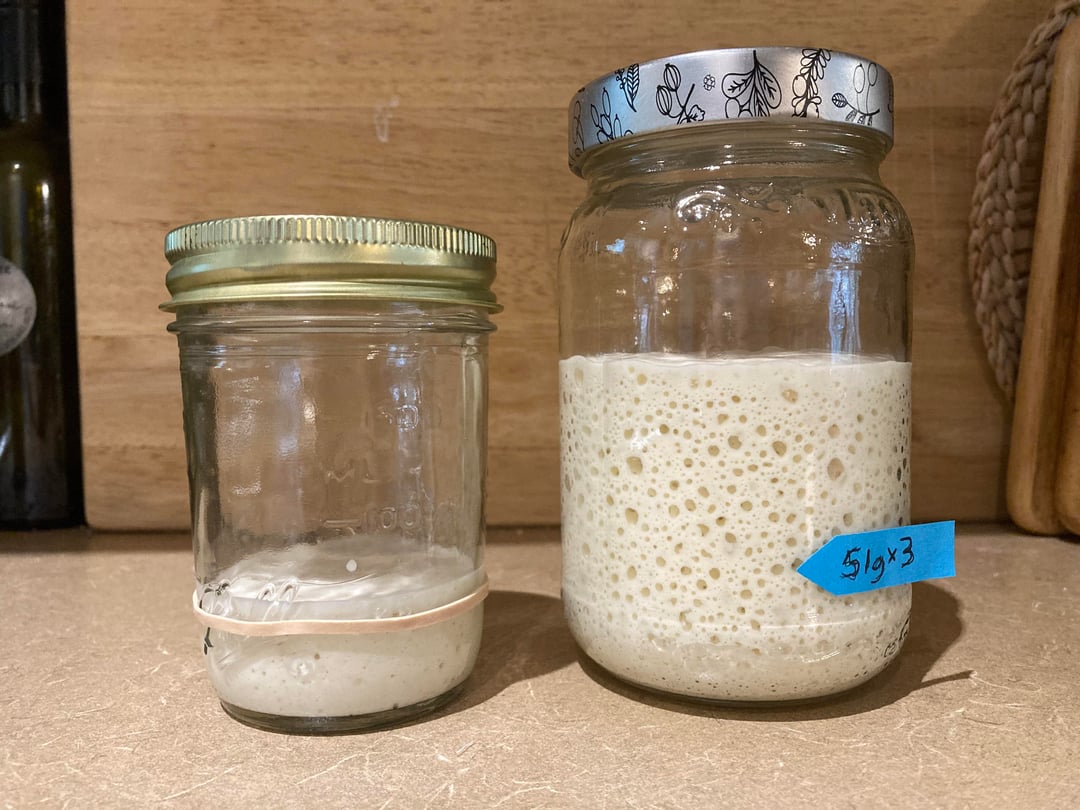 An application scenario or product detail of how long does starter last - Image 7