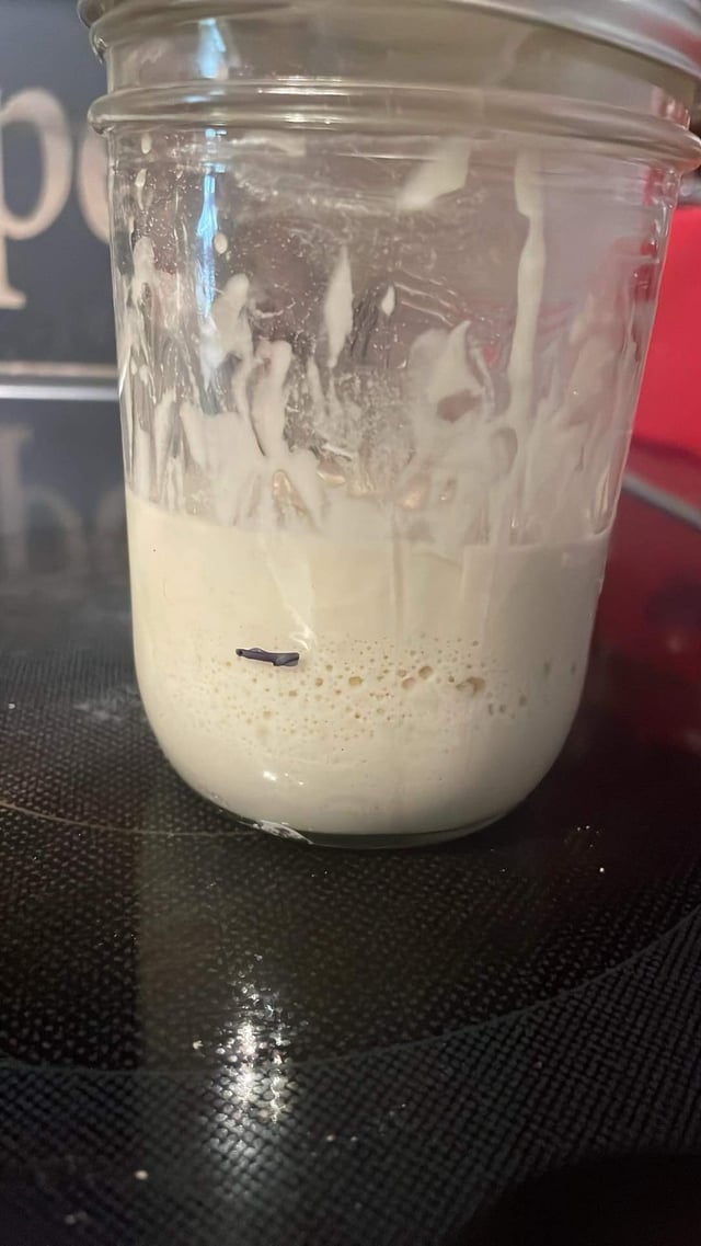 An application scenario or product detail of how to know if your starter is dead - Image 11