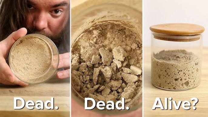 An application scenario or product detail of how to know if your starter is dead - Image 15